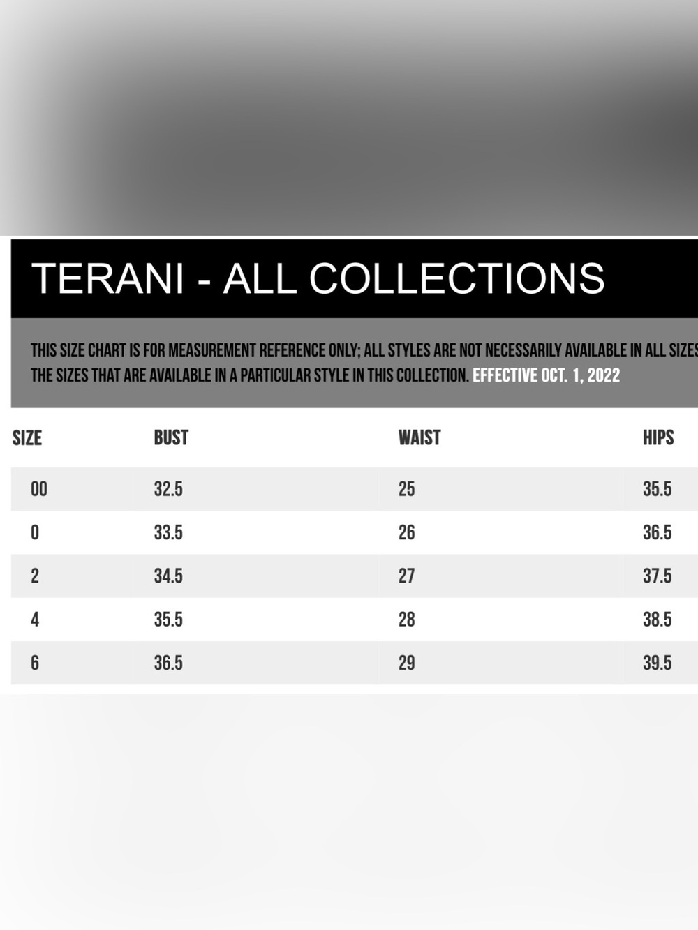 Terani Couture Silver/Nude Beaded Lace Formal - Picture 16 of 16